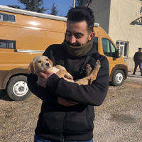 Özel ders öğretmeni ,  Yasin, GAZIOSMANPASA
