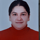 Ev işlerine yardımcı , Zenit, SISLI